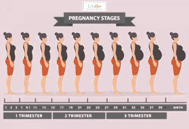 First Trimester (Weeks 1–12): Early Changes You Might Not Notice Canary Wharf